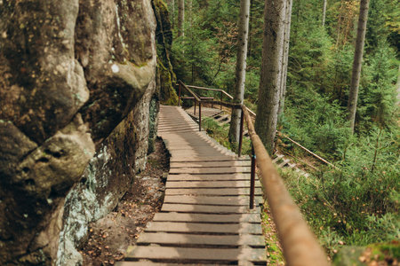The wooden stairs lead up a steep slope. Boardwalk trail through the forest and rocks. Rock city in...