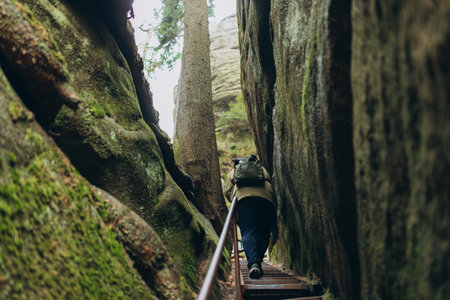 Young 30s man hiking in nature. Travel, adventure. Concept of an active lifestyle. High quality photo. Back view. Fall autumn hiker man outdoor at nature forestの写真素材