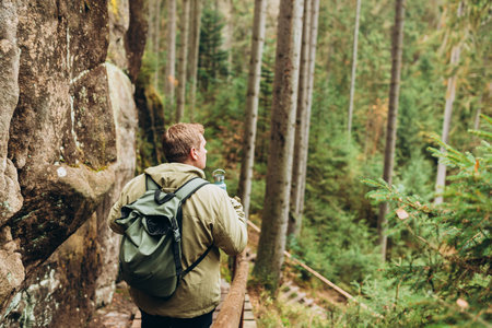 Young 30s man hiking in nature. Travel, adventure. Concept of an active lifestyle. High quality photo. Back view. Fall autumn hiker man outdoor at nature forestの写真素材