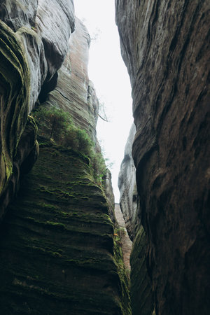 Rock city in Adrspach, Czech Republic. Texture of sandstone, High quality photo. Nature backgroundの写真素材