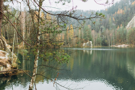 Pine tree near Lake. Autumn landscape with forest and pond. Travel concept. High quality photo.の写真素材