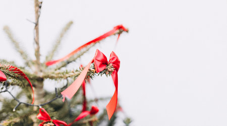 Red small bows is hanging from a Christmas tree outdoors on white background. Holiday backgroundの写真素材