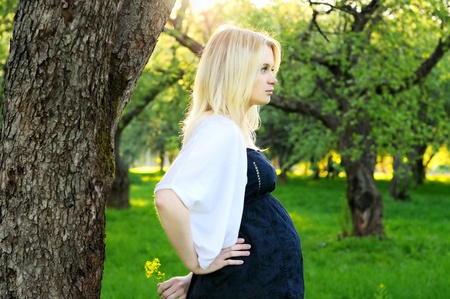 Beautiful young pregnant woman with wild flower in park の写真素材