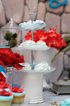 Delicious fancy mint pastila on plate (red and blue wedding table set)の写真素材