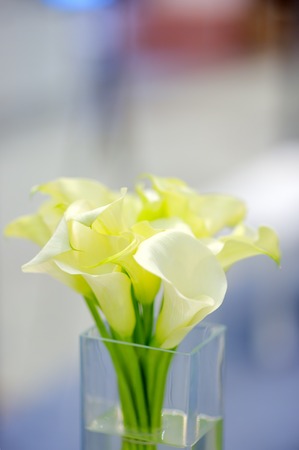 Beautiful flowers bouquet in glass vaseの写真素材