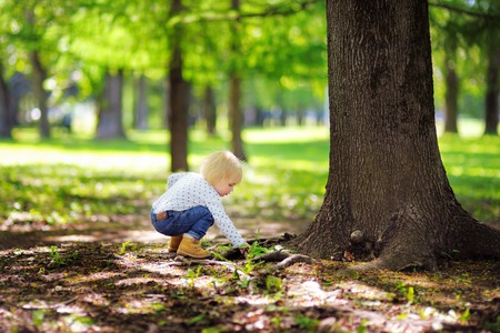 Toddler boy playing in the park at the spring or summer dayの写真素材