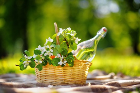 Picnic basket with fruits, flowers and water in the glass bottleの写真素材
