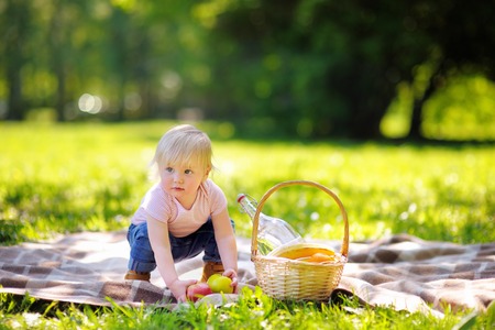 Beautiful toddler boy having a picnic in sunny parkの写真素材