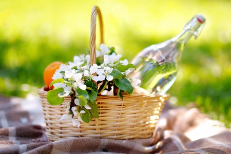 Picnic basket with fruits, flowers and water in the glass bottleの写真素材