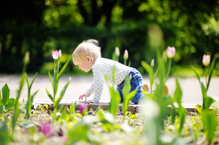Toddler boy playing in the garden at the spring or summer dayの写真素材