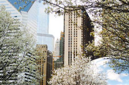 CHICAGO, IL - APR 23: Part of Cloud Gate and Chicago skyline on April 23, 2015 in Chicago, Illinois. Cloud Gate is the artwork of Anish Kapoor as the famous landmark of Chicago in Millennium Park.のeditorial素材