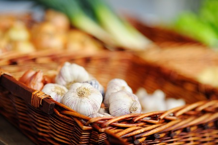 Healthy bio garlic on Paris farmer agricultural marketの写真素材