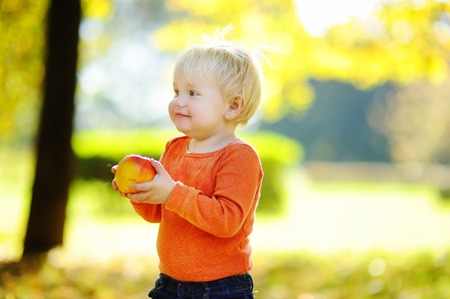 Beautiful toddler boy eating fresh bio pear outdoorsの写真素材