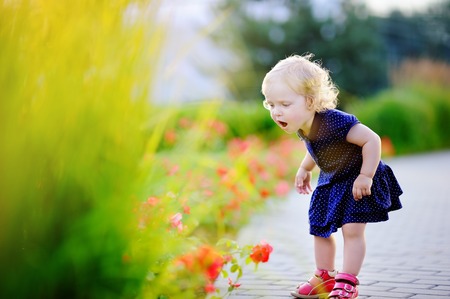 Cute curly hair toddler girl smelling red flowers at the spring or summer day