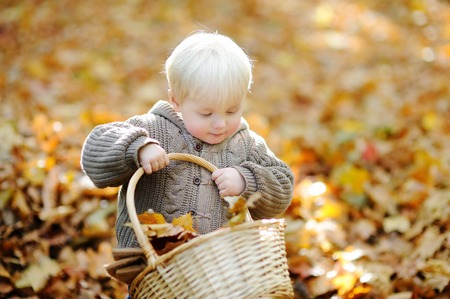 Toddler boy in autumnの写真素材