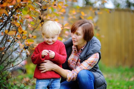 Beautiful middle aged woman and her adorable little grandson enjoying black currants in domestic...