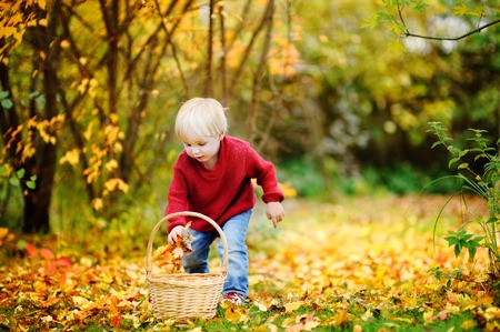 Toddler having fun in autumn park. Little boy playing with autumn leavesの写真素材