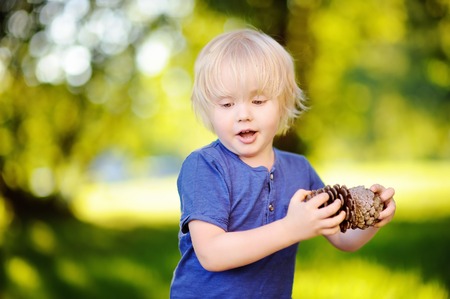 Cute little boy playing with two big pine cones outdoors. Game for kids on the nature.の写真素材