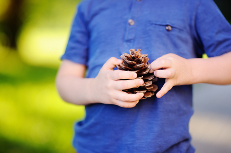 Cute little boy playing with big pine cone outdoors. Game for kids on the nature.の写真素材