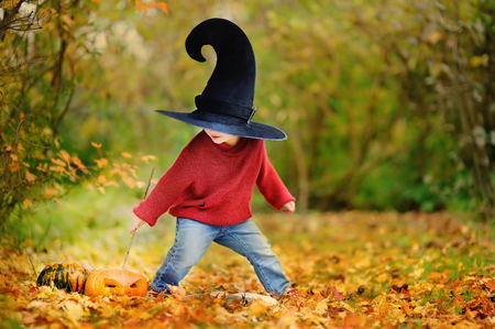 Toddler boy in pointed hat playing with magic wand outdoors. Little wizard. Halloween conceptの写真素材