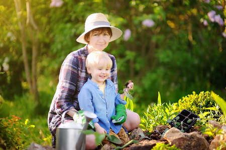 Beautiful woman and her cute son planting seedlings in bed in the domestic garden at summer day. Garden tools, gloves and watering can outdoors. Gardening activity with little kid and familyの写真素材