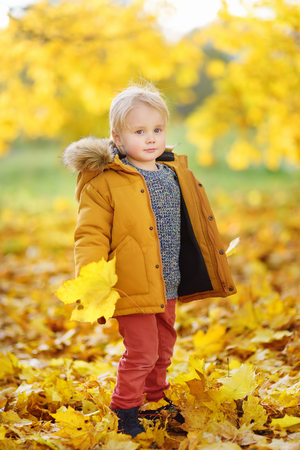 Little boy during stroll in the forest at sunny autumn day. Active family time on nature. Hiking with little kidsの写真素材