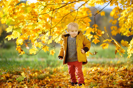 Little boy during stroll in the forest at sunny autumn day. Active family time on nature. Hiking with little kidsの写真素材