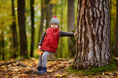 Little boy during stroll in the forest at sunny autumn day. Active family time on nature. Hiking with little kidsの写真素材