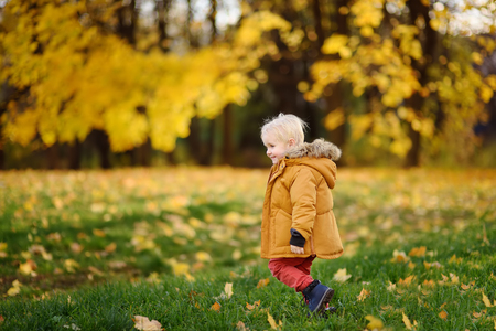 Little boy during stroll in the forest at sunny autumn day. Active family time on nature. Hiking with little kidsの写真素材