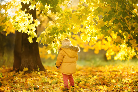 Little boy during stroll in the forest at sunny autumn day. Active family time on nature. Hiking with little kidsの写真素材