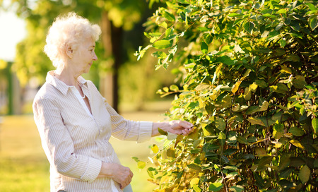 Outdoor portrait of beautiful senior woman with curly white hair. Elderly lady walking in parkの写真素材