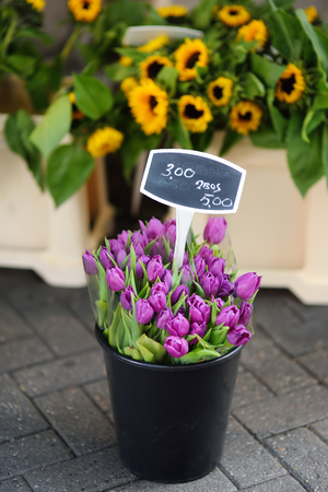 The famous Amsterdam flower market (Bloemenmarkt). Bouquet purple tulips. The Symbol Of The Netherlands.の写真素材
