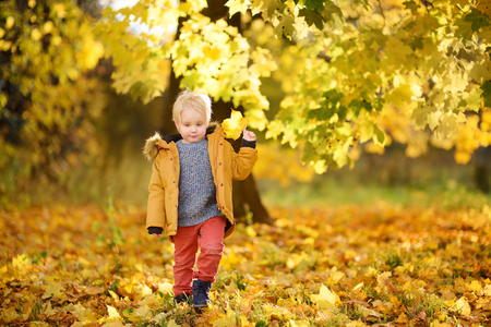 Little boy during stroll in the forest at sunny autumn day. Active family time on nature. Hiking with little kidsの写真素材