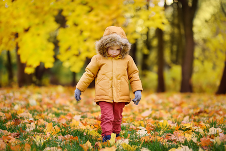 Little boy during stroll in the forest at sunny autumn day. Active family time on nature. Hiking with little kids. Leaves rustle.の写真素材
