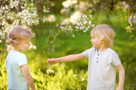 Cute little boy gives a cute little girl a flower in cherry or apple orchard during flowering. Easter. Outdoors spring activities for kids.の写真素材