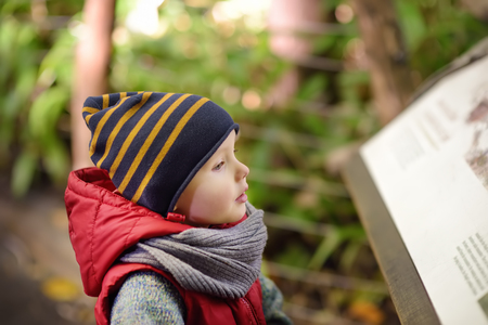 Little boy reads an explanatory sign in the zoo or Park of Nature. Kids exploring nature.の写真素材