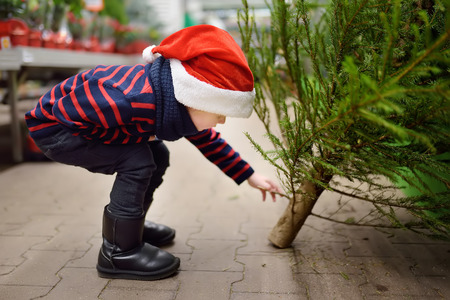 Cute little boy chooses christmas tree on market. Family Christmas shopping. Traditional Xmas decoration.の写真素材
