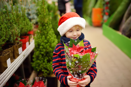 Cute little boy in Santa hat holding a poinsettia. Family Christmas shopping. Traditional Xmas decoration.の写真素材