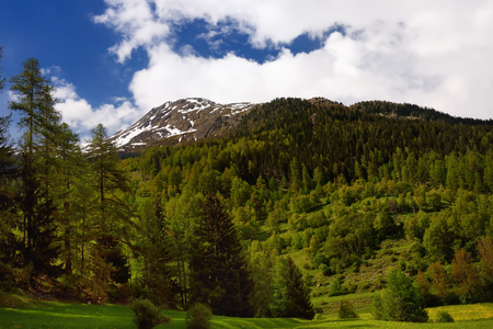 Scenic views of the Swiss national Park with a road on sunny spring day. Tourism and travel.の写真素材