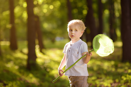 Cute little boy catches butterflies with scoop-net on sunny meadow.Study of nature. Young naturalist. Summer activities for inquisitive child.の写真素材