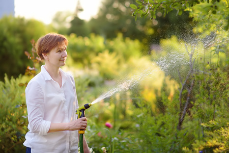 Mature woman watering the lawn with a garden hose in a sunny garden. Gardening.の写真素材