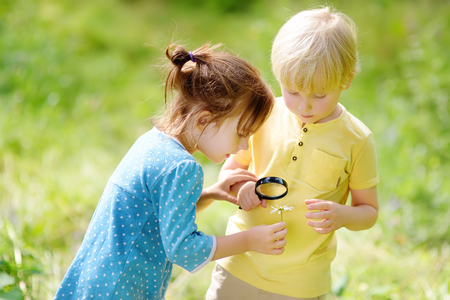Kids exploring nature with magnifying glass. Close up. Little boy and girl looking with magnifying glass on camomile. Summer activity for inquisitive childの写真素材
