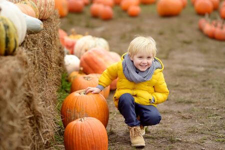 Little boy on a tour of a pumpkin farm at autumn. Child sitting near giant pumpkin. Pumpkin is...