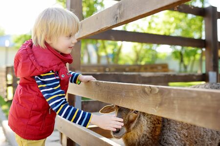 Little boy petting sheep. Child in petting zoo. Kid having fun in farm with animals. Children and animals. Fun for kids on school holidays.の写真素材