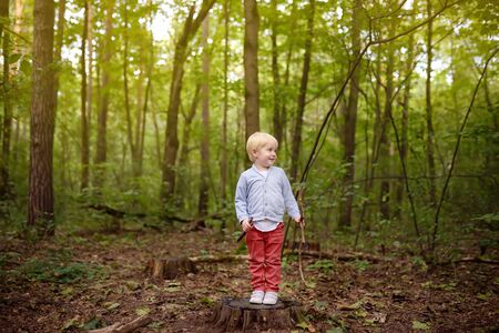 Little boy playing on wooden stump during stroll in the forest at spring, summer or autumn day. Active family time on nature. Hiking with little kidsの写真素材