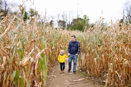 Little boy and his father having fun on pumpkin fair at autumn. Family walking among the dried corn stalks in a corn maze. Traditional american amusement on pumpkin fair.の写真素材