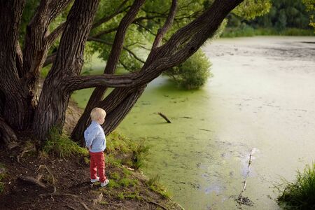 Upset or offended little boy standing on the shore of the pond. Child lose yourself. Escape from the house. Danger. Search for missing children.の写真素材