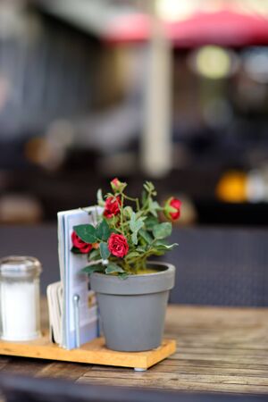 Outdoors cafe with natural flowers an pot on table in Cologne, Germany.の写真素材