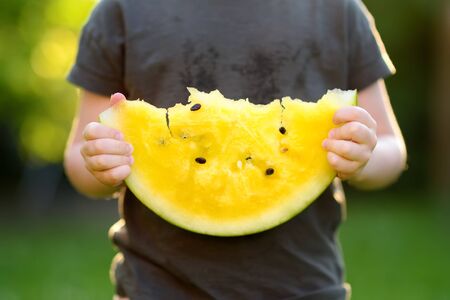 Caucasian little boy eating yellow watermelon outdoors. Seasonal fruits and vegetables for kids.の写真素材