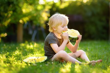 Caucasian little boy with blond hairs eating yellow watermelon on backyard. Seasonal fruits and vegetables for kids.の写真素材